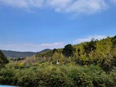 -旺山·浪头人家