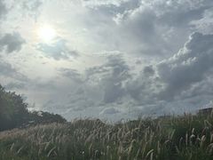 -光明小镇欢乐田园