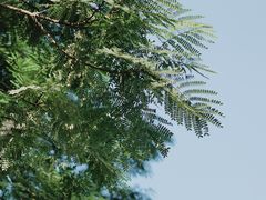 -文华公园(禅城区)