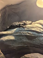 -Zoolung Zoolung动物主题公园(海信广场店)