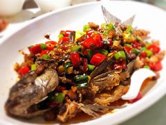 -尽膳·鱼鲜川菜(宽窄巷子店)