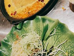 -朱光玉火锅馆(正弘城店)