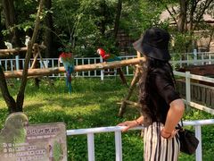 -哈尔滨北方森林动物园