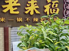 -老来福·非遗酸汤兔(凯旋路店)