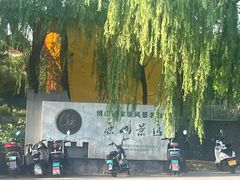 -原山国家森林公园