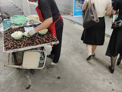 -武汉关码头(轮渡站)