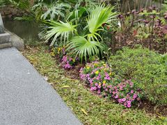 -人民公园(罗湖区)