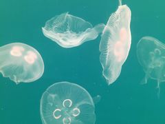 -多彩贵州城极地海洋世界