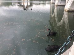 -茵特拉根酒店·西餐厅