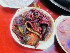 现划鳝鱼-储奇门鳝鱼火锅(总店)