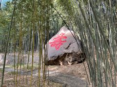 -鲁山国家森林公园