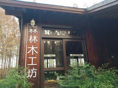 -黄海国家森林公园