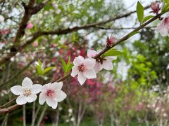 -上海市龙华烈士陵园