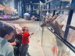 -酷嗒动物文化乐园(cutezoo西溪乐天城店)