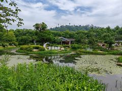 -东湖磨山景区