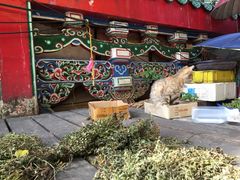 -剥皮寮历史街区