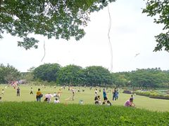 -东莞植物园