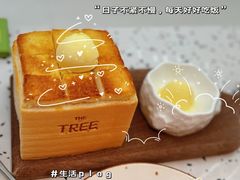 -大树餐厅(朝阳大悦城店)