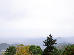 -雨花胜境