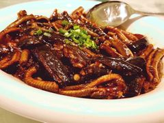 鑫鑫の响油鳝丝-金八仙酒店