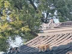 -不晚酒店(苏州观前平江路店)