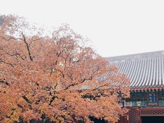 -香山公园