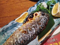 煎青花鱼-二丁目食堂(铁西万象汇店)