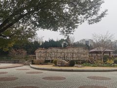 -嘉定紫藤园