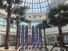 -圣爵菲斯大酒店(长沙世界之窗店)