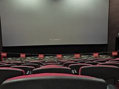 -华夏影城百步亭店(杜比全景声)