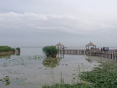 -哈素海