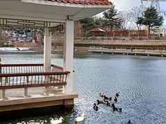 -北岭山森林公园