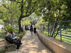 -九龙公园