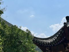 -佛慧山