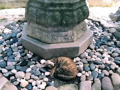 -寒山寺