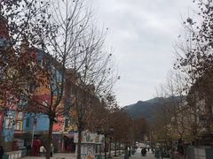 -四川省成都市彭州市白鹿镇