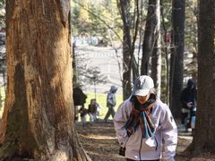 -五营红松林海景区