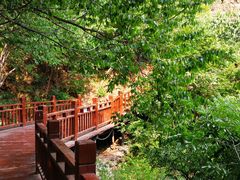 -十渡东湖港风景区