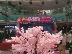 -万达广场(沈阳铁西店)