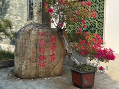 -广州神农草堂中医药博物馆