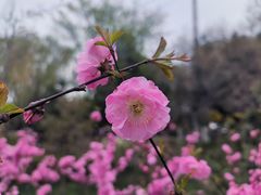 -兰山公园