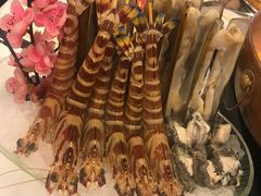 -鲜入围煮花胶鸡海鲜火锅