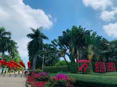 -万绿园