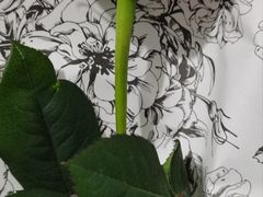 -FEI FEI FLOWER鲜花店·气球派对·宝宝宴布置(虹口德必运动Loft店)