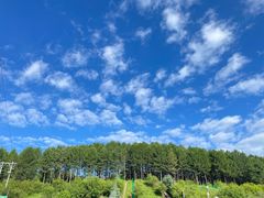 -塞罕坝国家级自然保护区