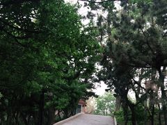 -烟台山景区