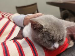 -浩海美食店(闸坡店)