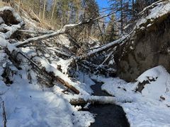 -峡谷浮石林景区