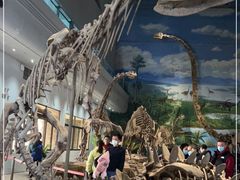 -自贡恐龙博物馆