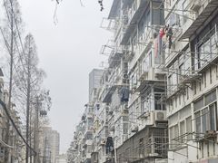 -陶记正宗德州扒鸡(科巷店)
